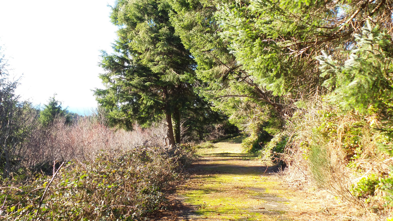 Lot 22 NE Lakewood, Newport, OR 97365