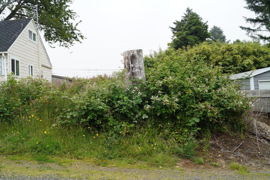 TL 2300 NE Neptune, Lincoln City, OR 97367