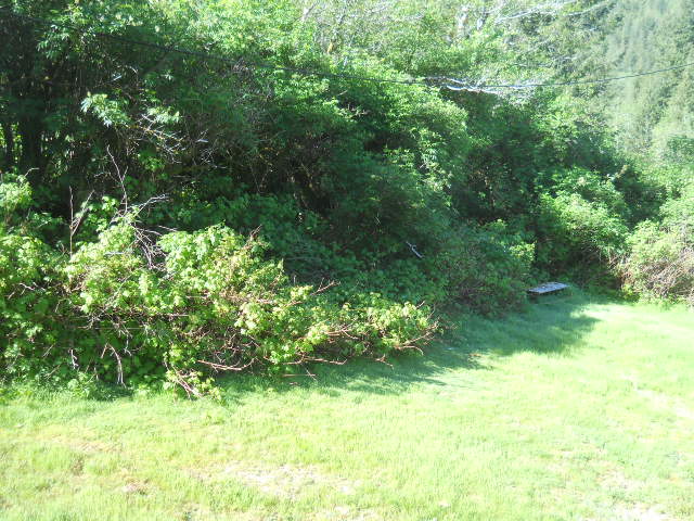 9514 S Schooner Creek RdOtis, OR, 97368Lincoln County