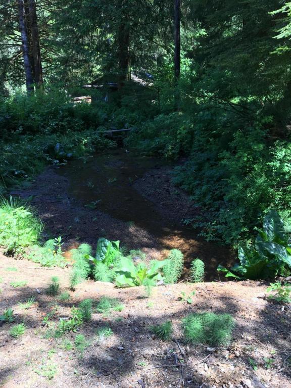 TL 2200 Doris Lane, Otis, OR 97368