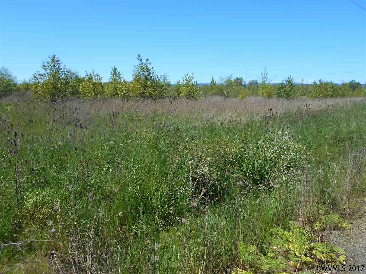 SW DeJong Rd, Sheridan, OR 97378