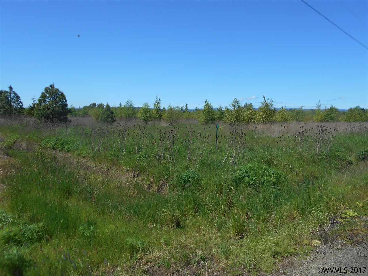SW DeJong Rd, Sheridan, OR 97378