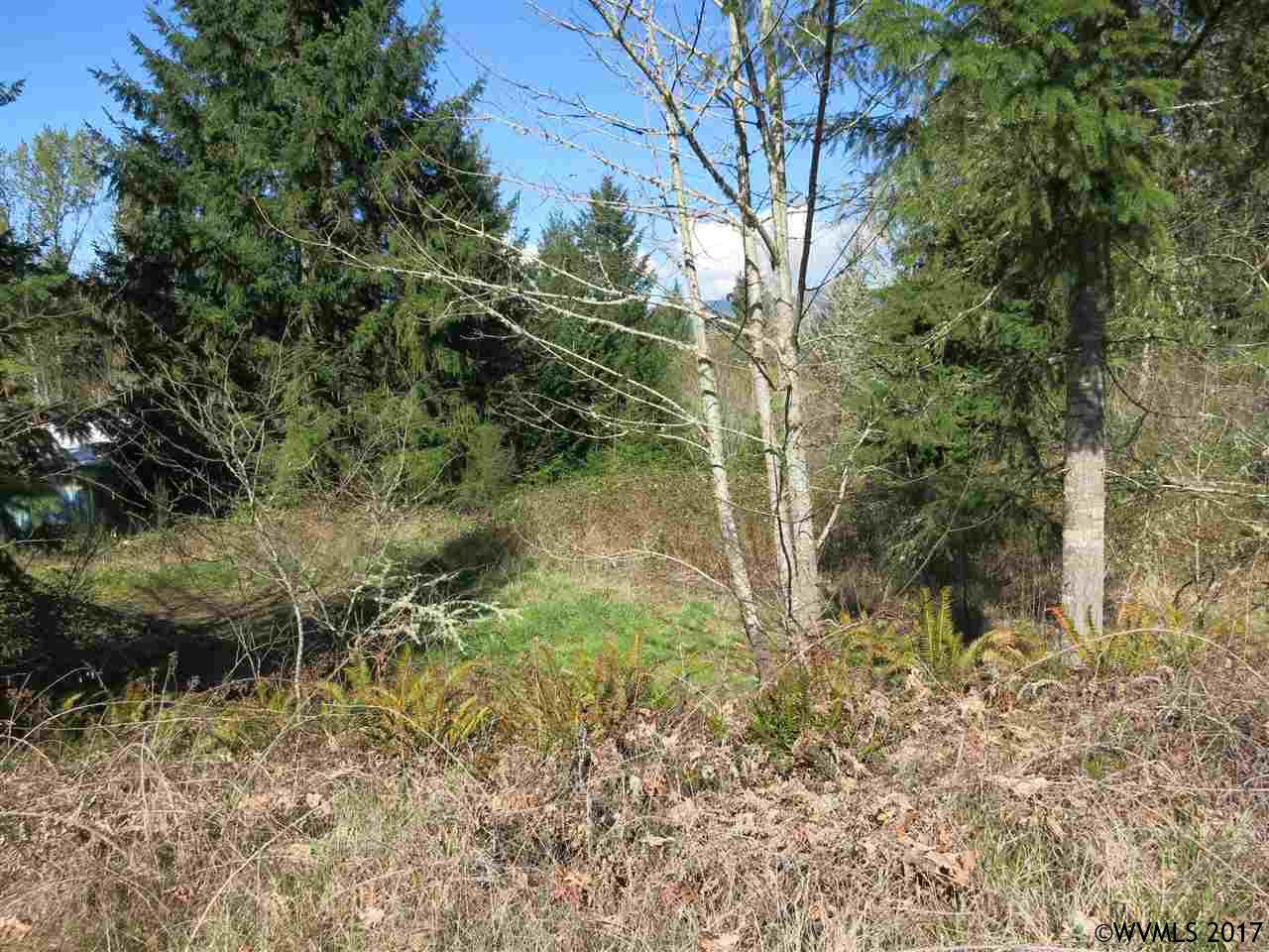 Shea Hill  Rd, Sweet Home, OR 97386