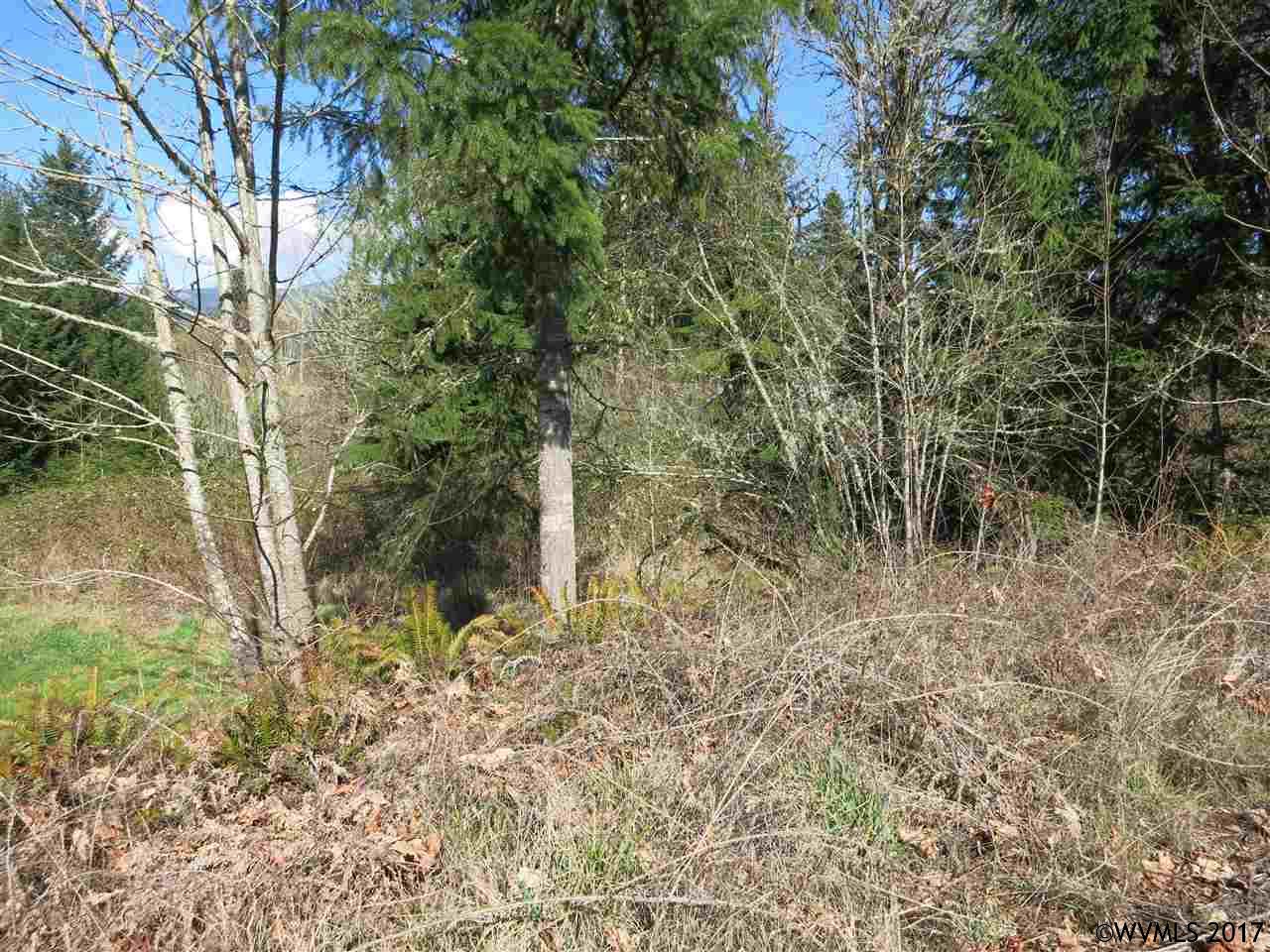 Shea Hill  Rd, Sweet Home, OR 97386