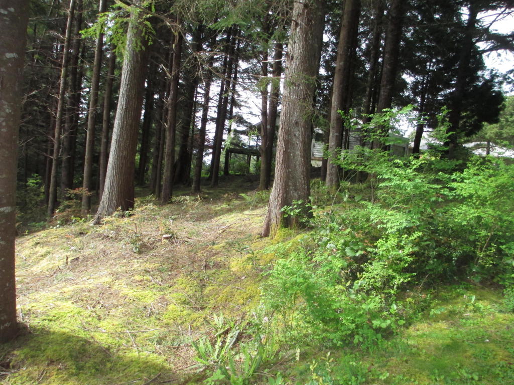 486 Lookout, Gleneden Beach, OR 97388