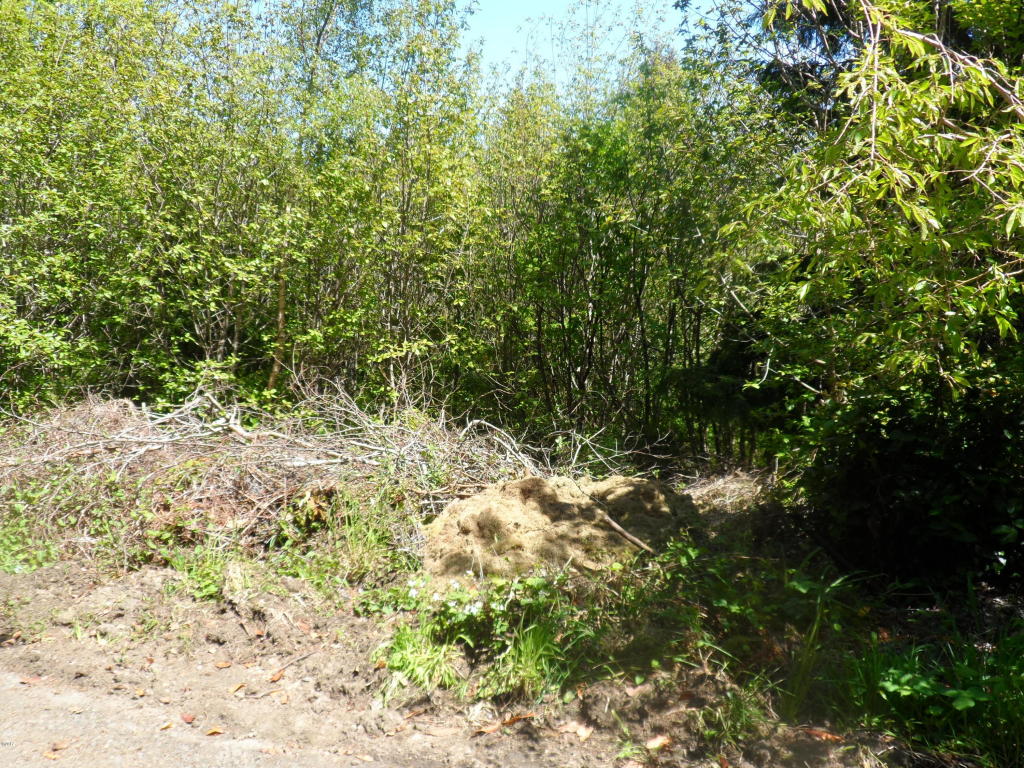 150 S Crestline, Waldport, OR 97394