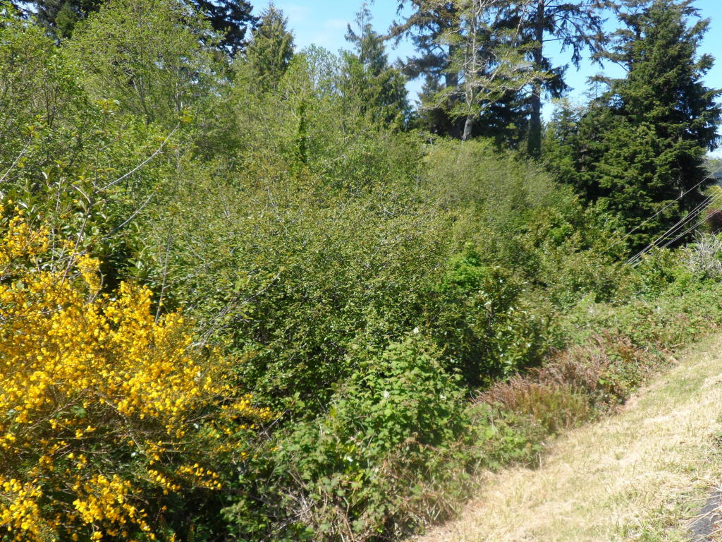 150 S Crestline, Waldport, OR 97394