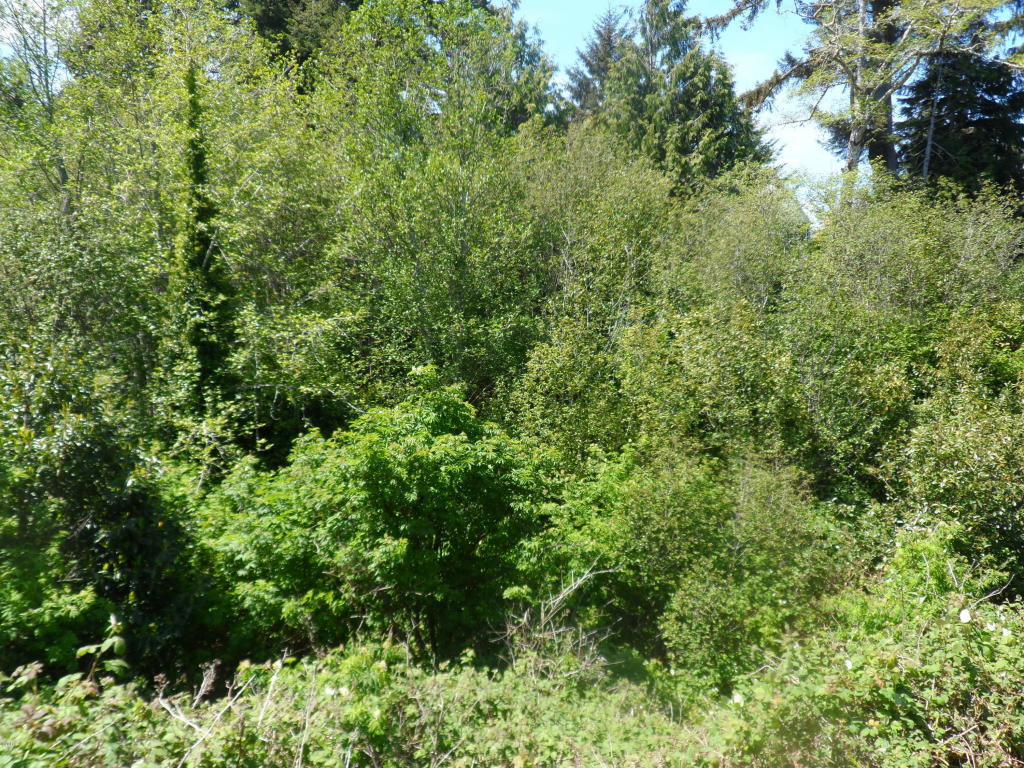 150 S Crestline, Waldport, OR 97394