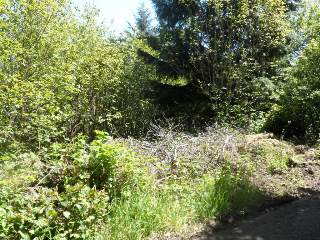 150 S Crestline, Waldport, OR 97394