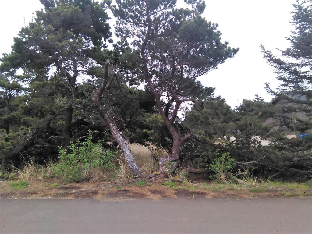 1705 NW Marlin, Waldport, OR 97394
