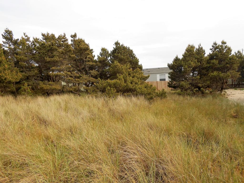 1705 NW Marlin, Waldport, OR 97394