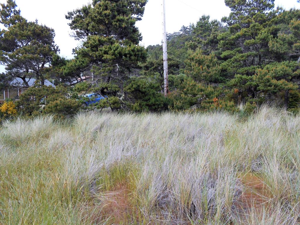 1705 NW Marlin, Waldport, OR 97394