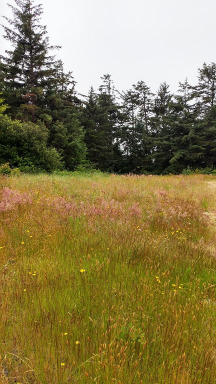 2722 NW Seafarer, Waldport, OR 97394