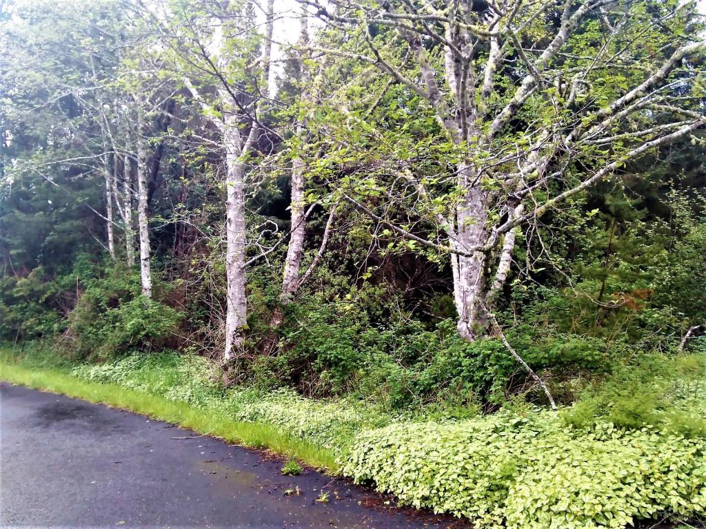 1540 SW Ocean, Waldport, OR 97394