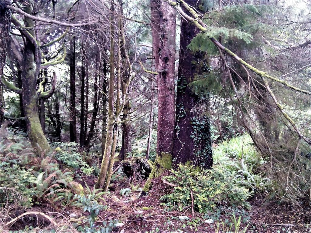 1540 SW Ocean, Waldport, OR 97394