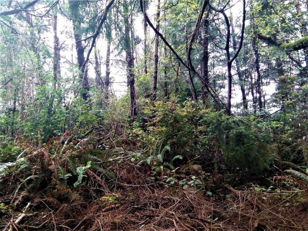 1540 SW Ocean, Waldport, OR 97394