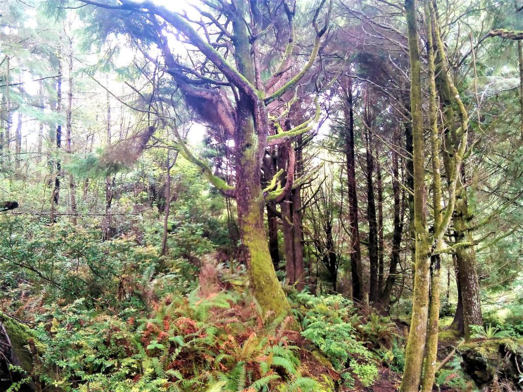 1540 SW Ocean, Waldport, OR 97394