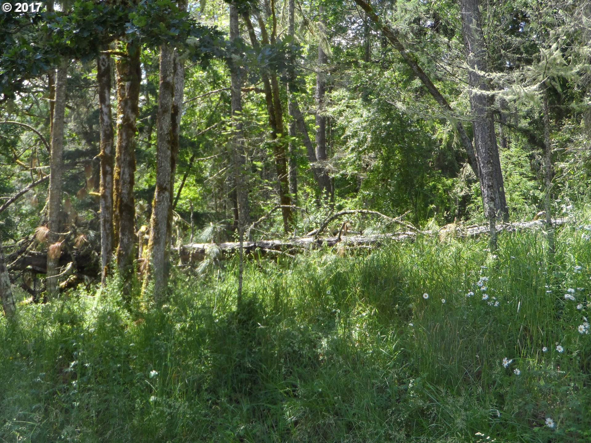 Deer Valley DR, Eugene, OR 97405