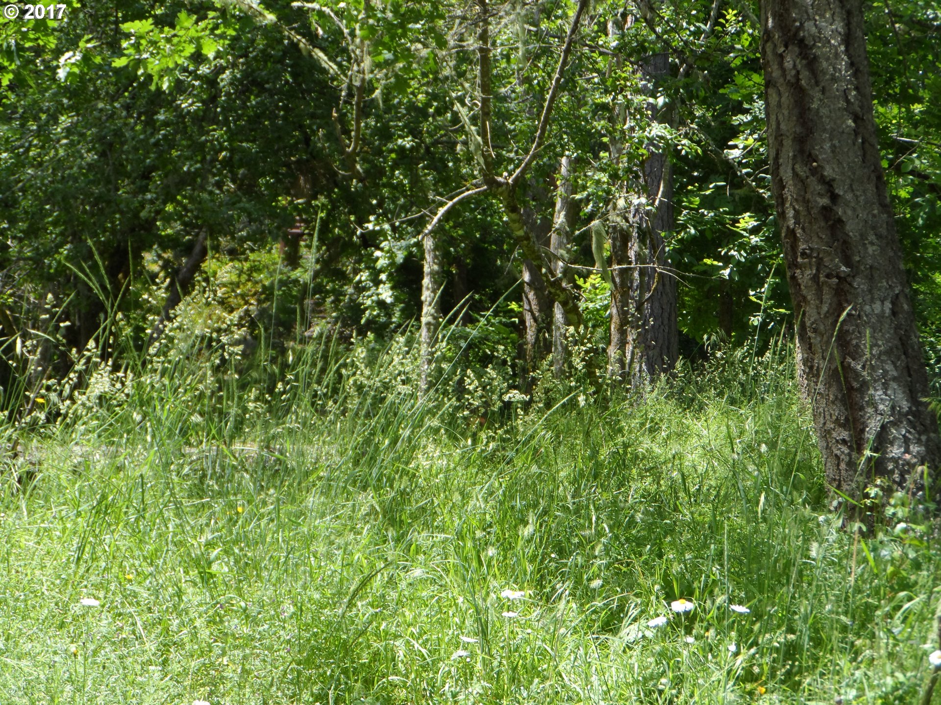 Deer Valley DR, Eugene, OR 97405