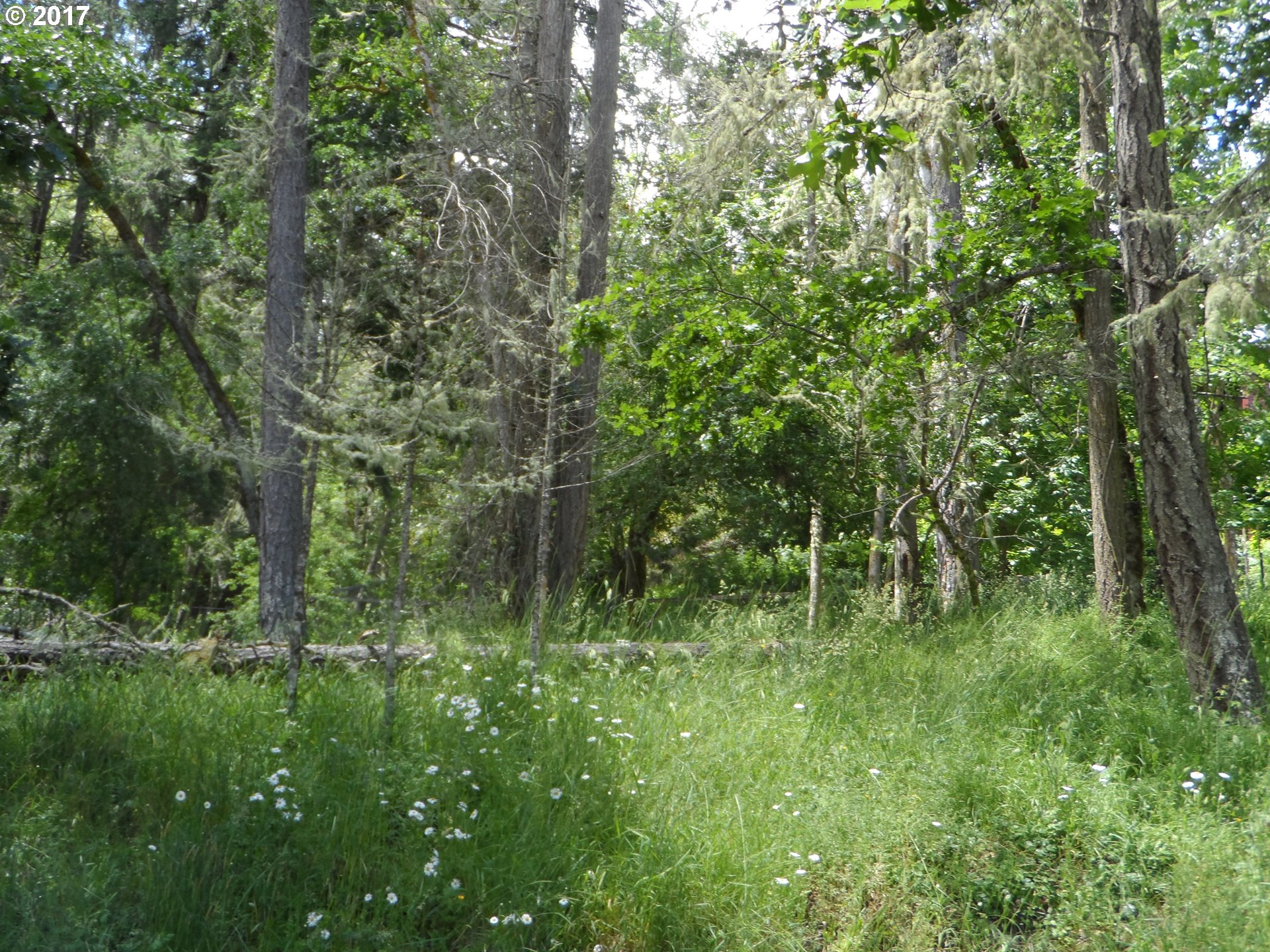 Deer Valley DR, Eugene, OR 97405