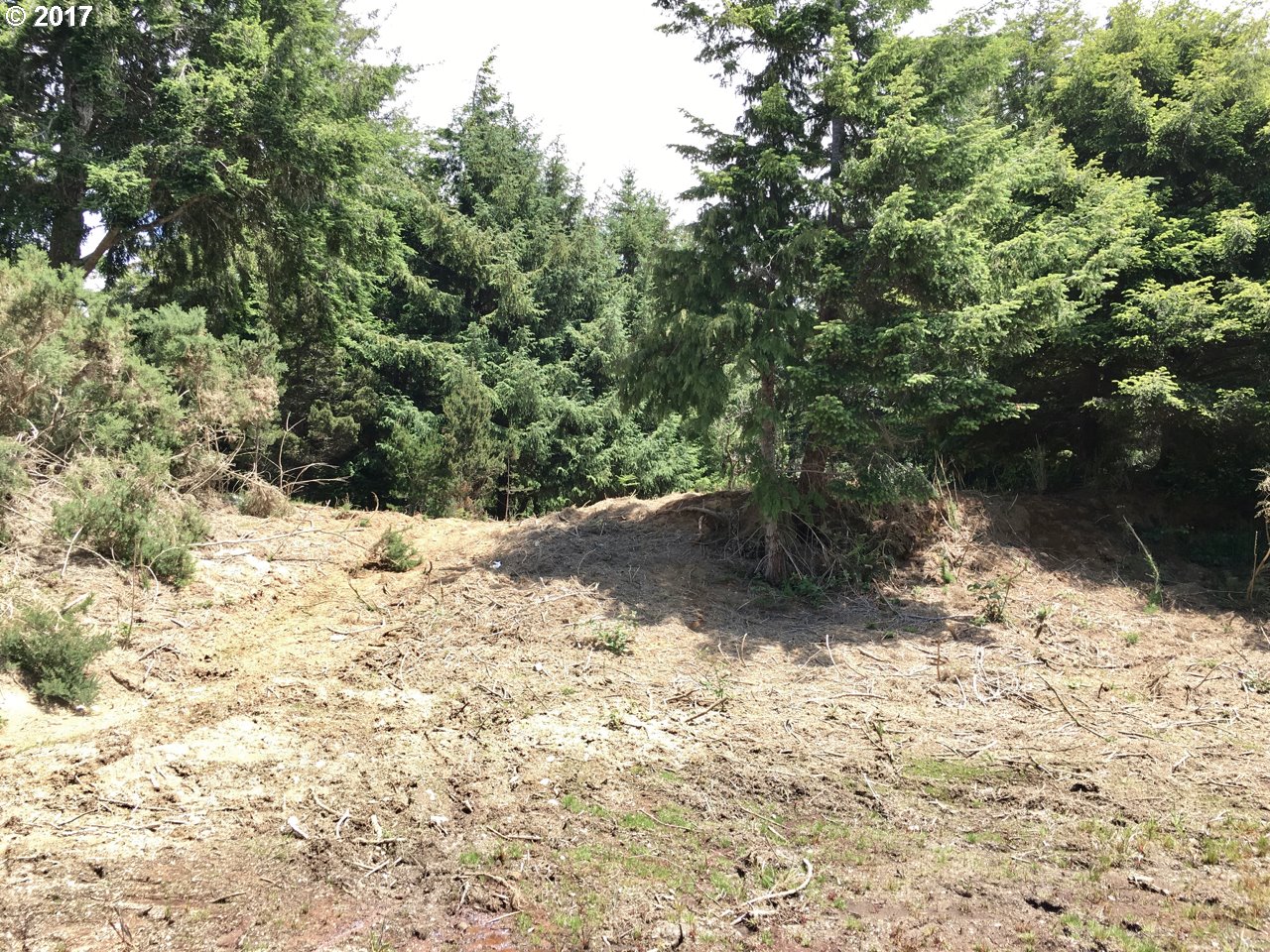 OHIO ST SE 1400, Bandon, OR 97411