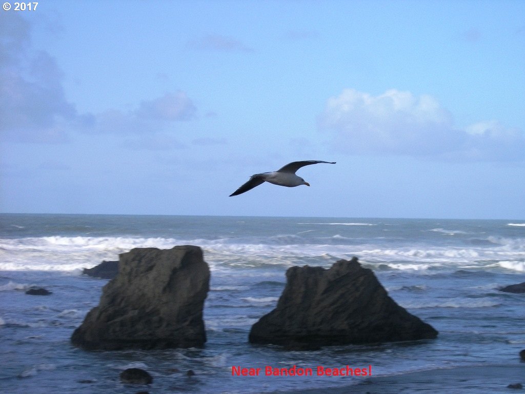 3123 PERIWINKLE Lot 10 LN SW 10, Bandon, OR 97411