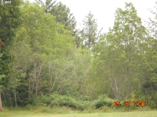 0 Ruby LOOP, Bandon, OR 97411