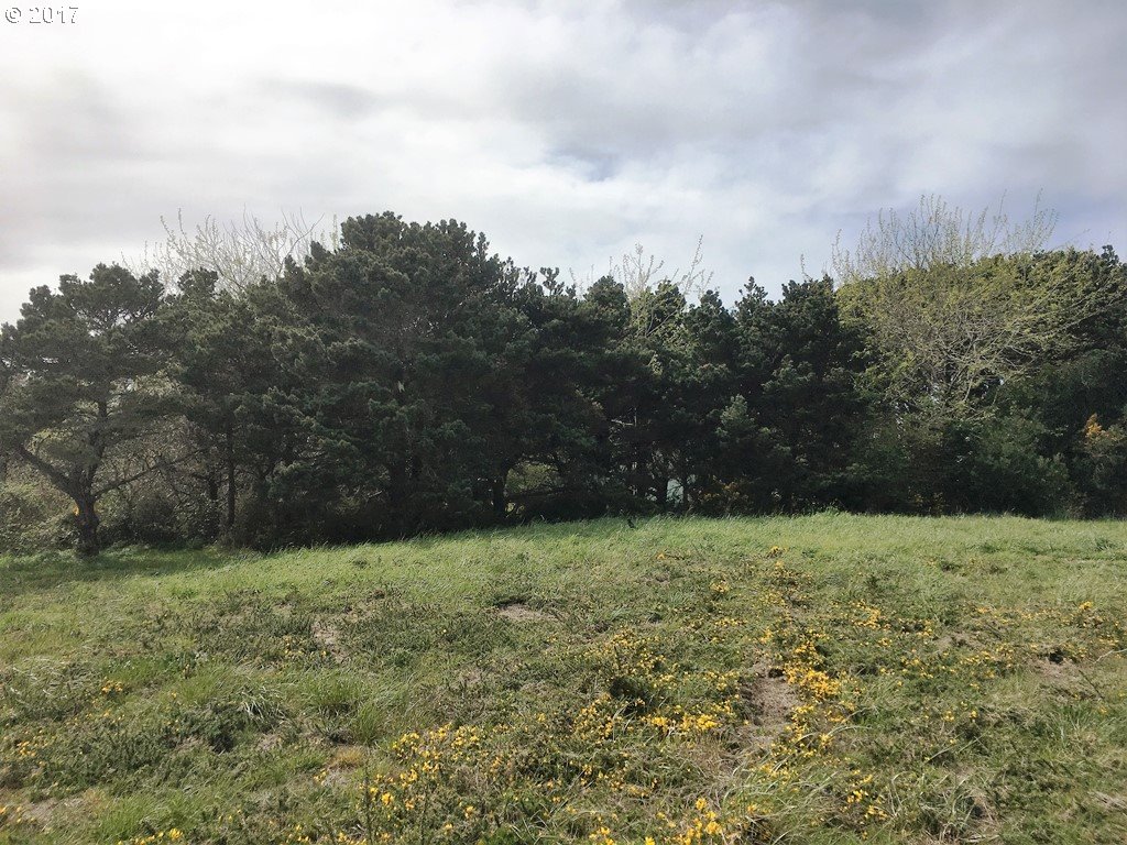 3076 PERIWINKLE LN 6, Bandon, OR 97411