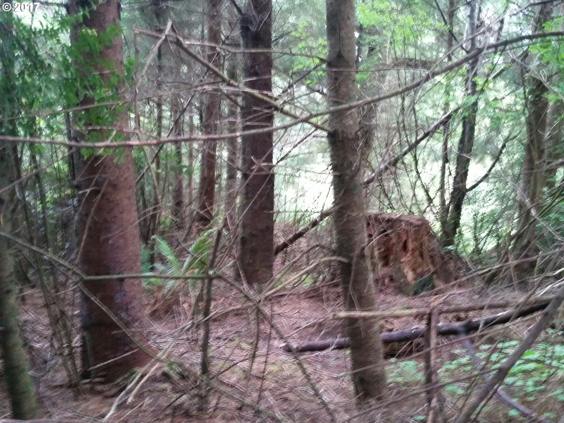 0 Seven Devils, Coos Bay, OR 97420