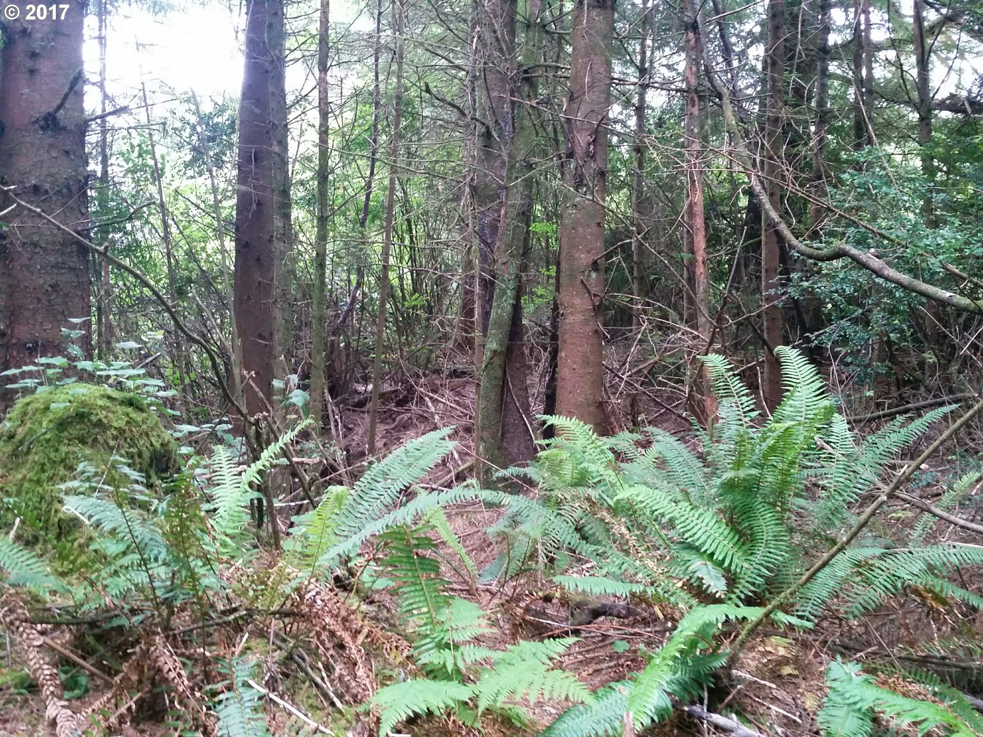 0 Seven Devils, Coos Bay, OR 97420