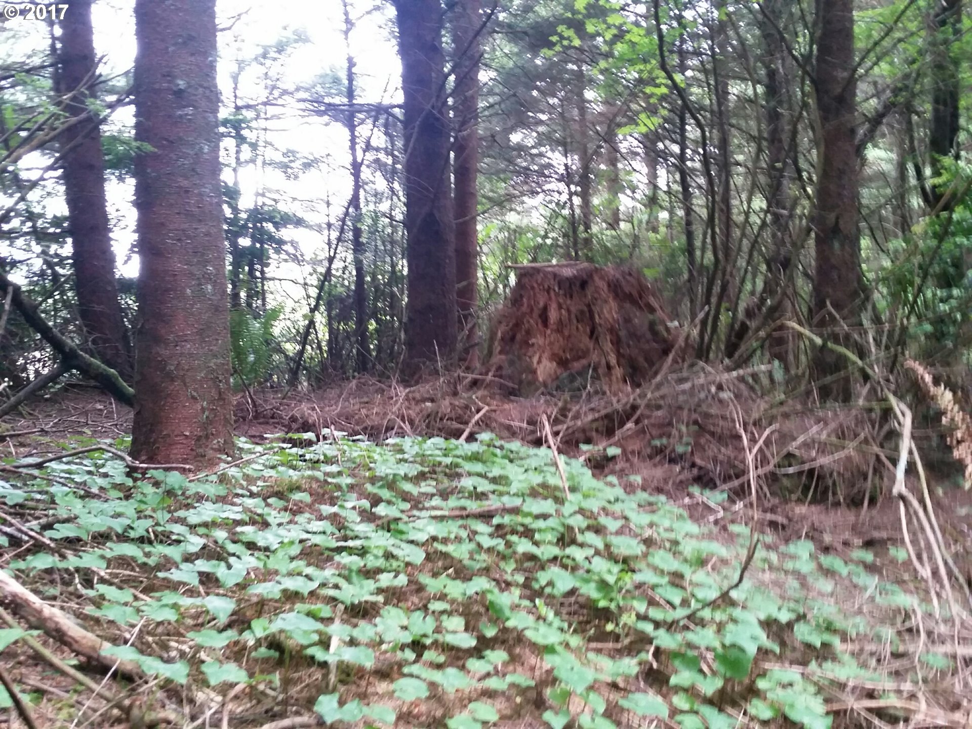 0 Seven Devils, Coos Bay, OR 97420
