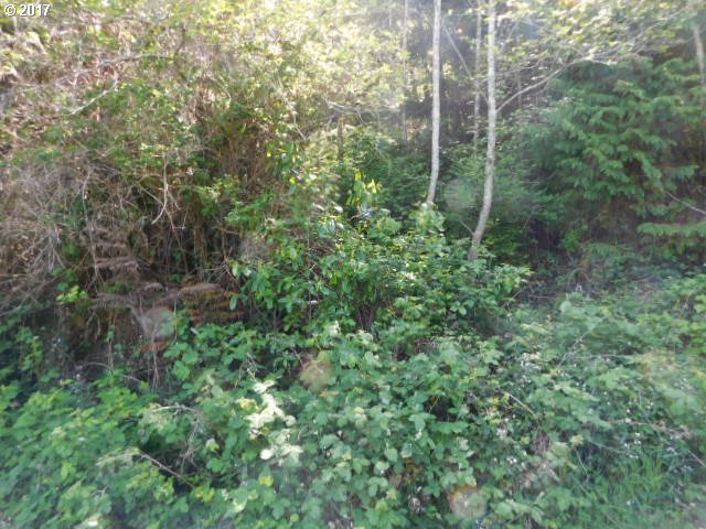 0 17th, Coos Bay, OR 97420