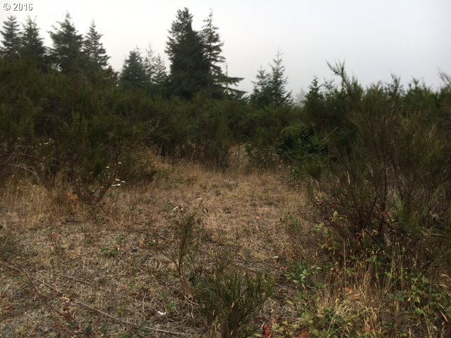 91538 Grinnell Ln, Coos Bay, OR 97420