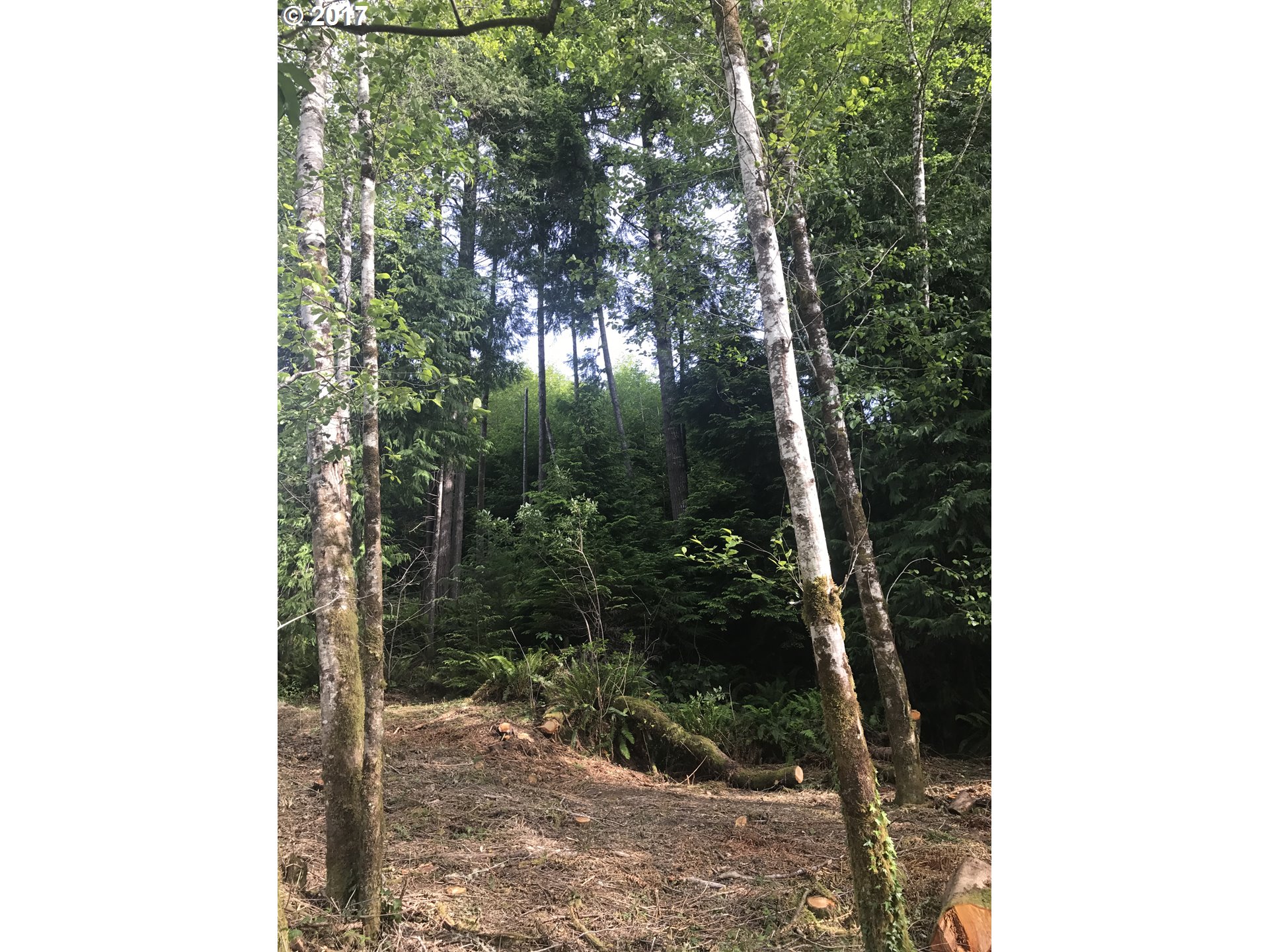 0 MacGregor Hights, Coos Bay, OR 97420