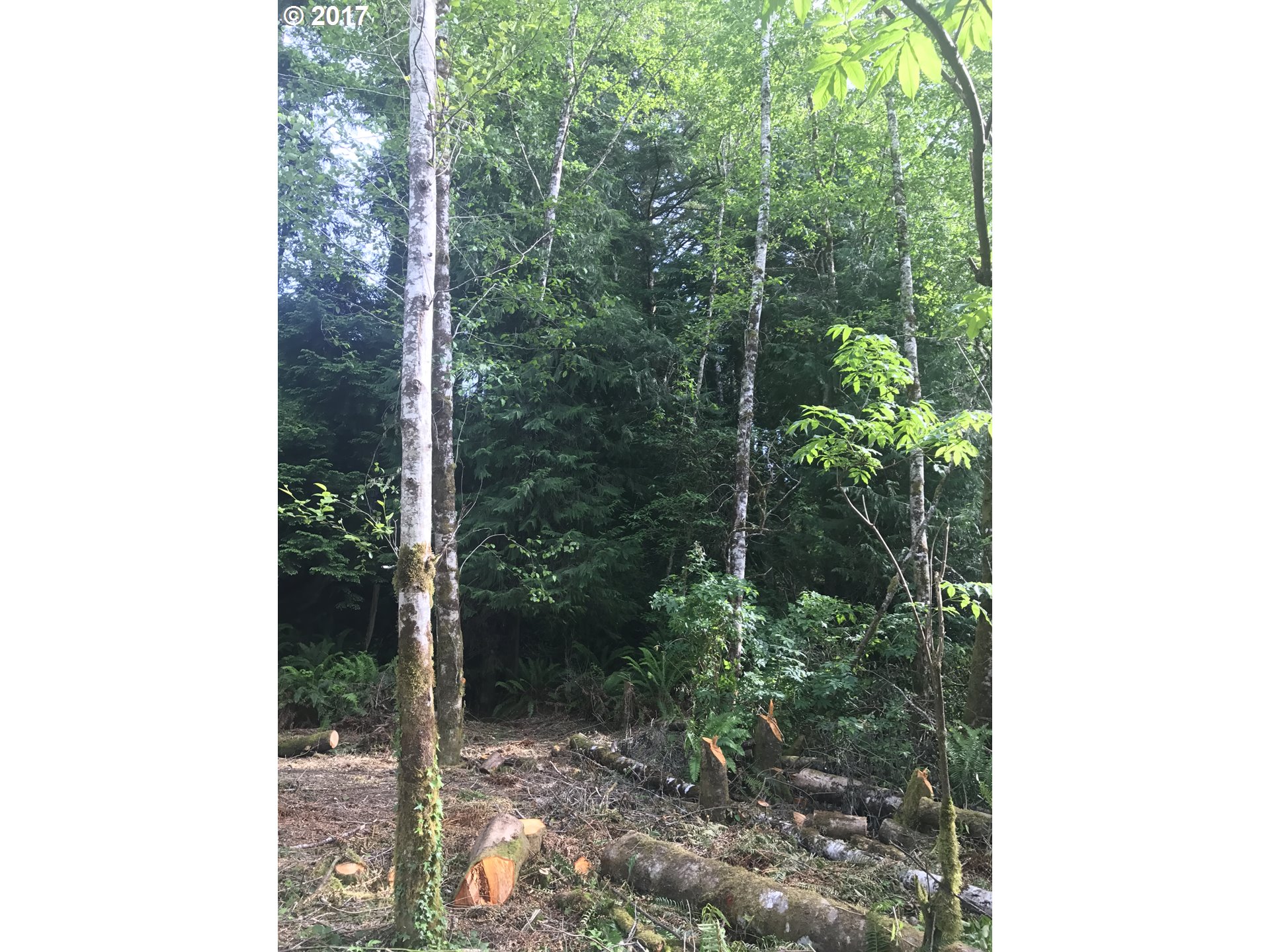 0 MacGregor Hights, Coos Bay, OR 97420