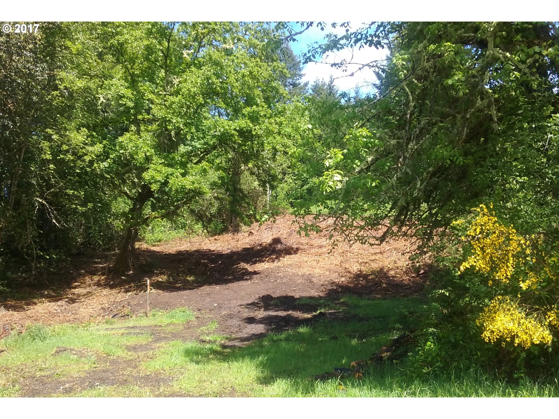 Taylor AVE 3, Cottage Grove, OR 97424