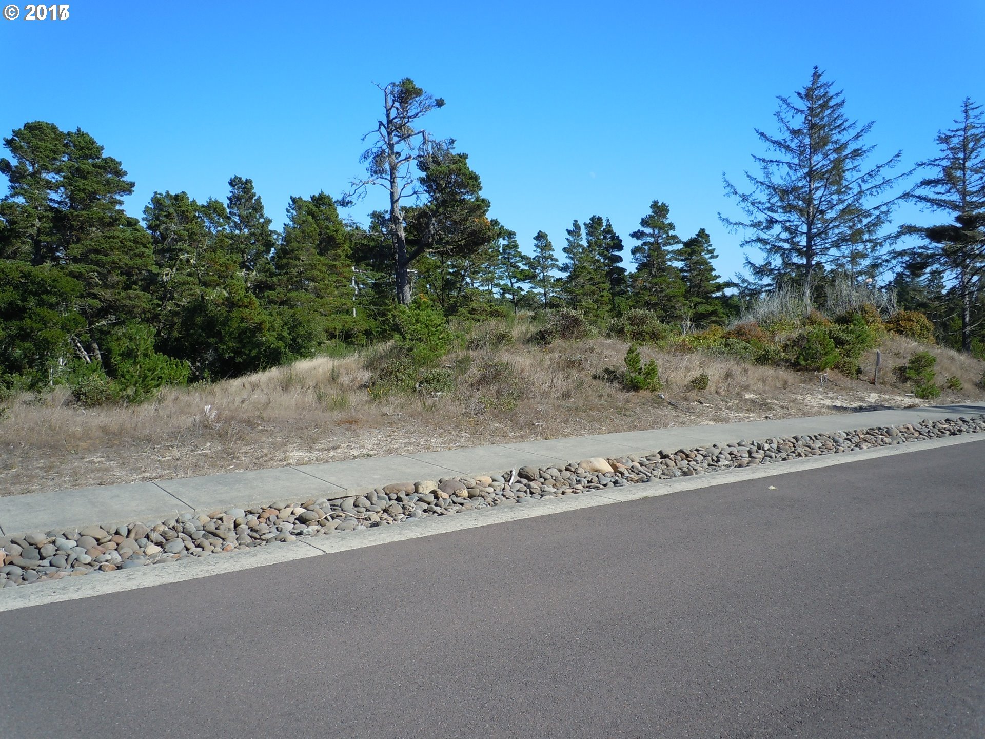 Bonnett WAY 38, Florence, OR 97439