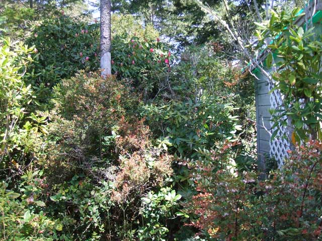 213 Bourbon Street, Florence, OR 97439