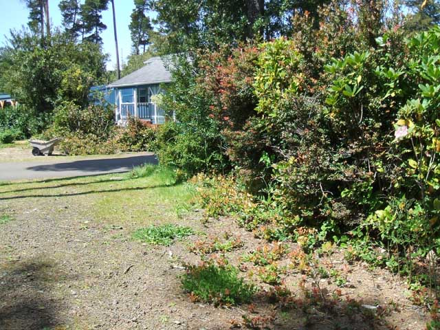 213 Bourbon Street, Florence, OR 97439