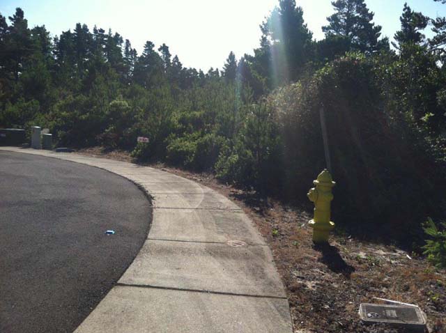 5 BONNETT WAY, Florence, OR 97439