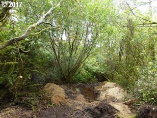 5350 KNOLL WAY 1, Florence, OR 97439