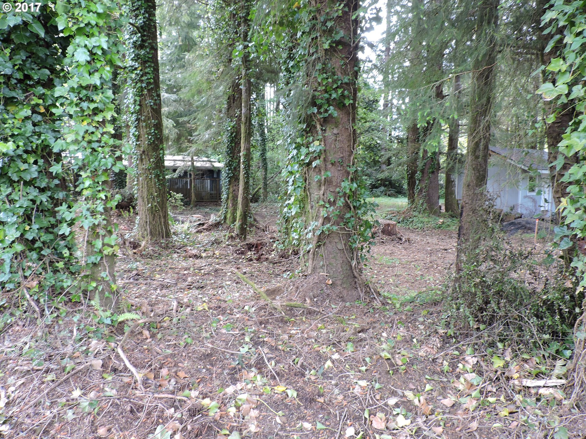 SUTTON LAKE DR 200, Florence, OR 97439