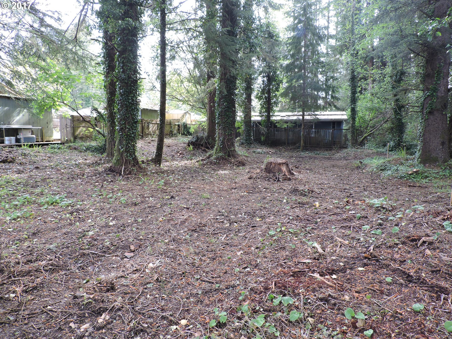 SUTTON LAKE DR 200, Florence, OR 97439