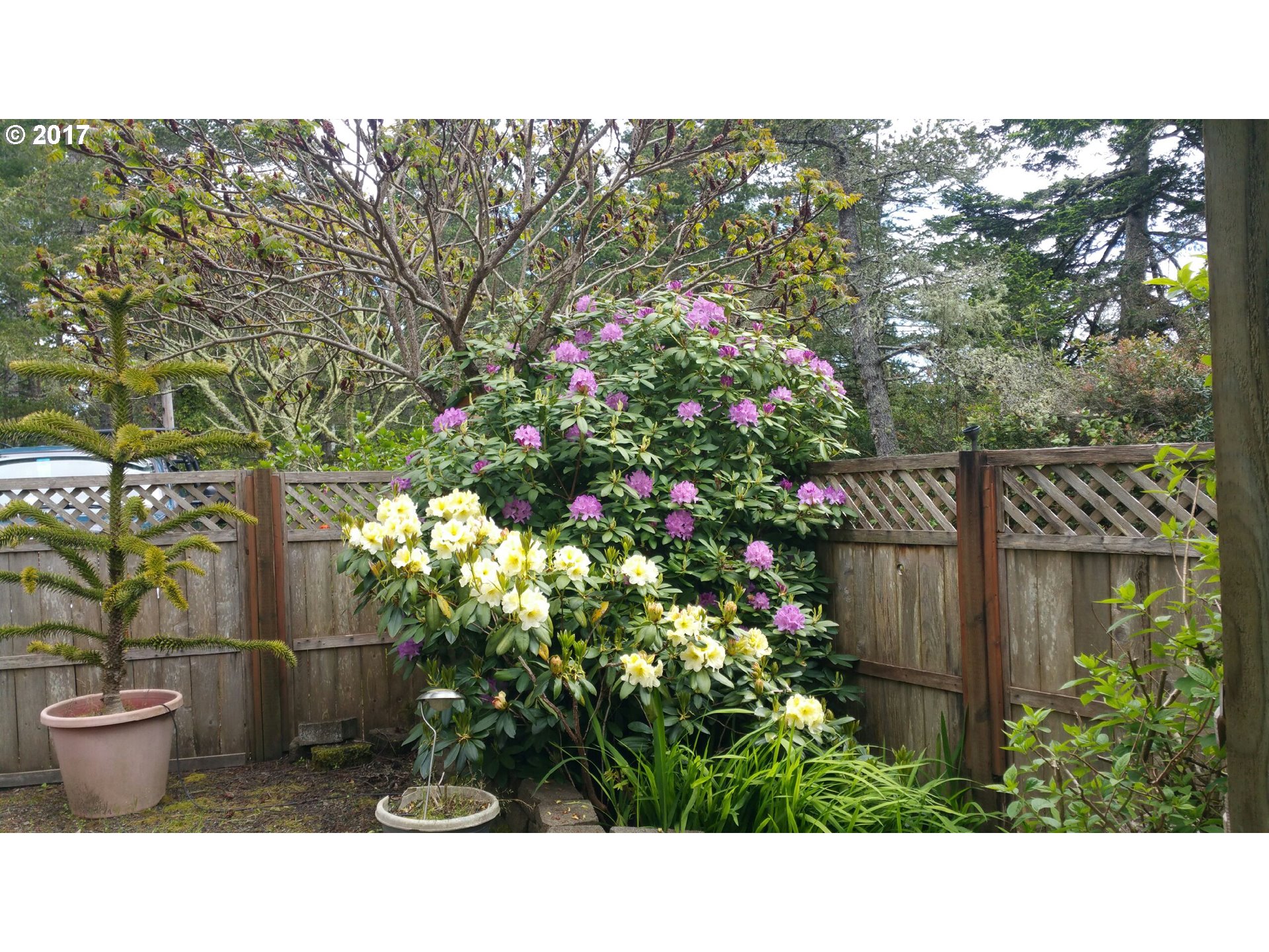 50 EASY ST, Florence, OR 97439