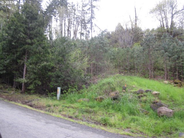 1655 LONE ROCK RD, Glide, OR 97443