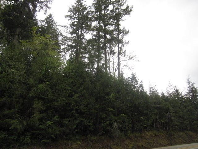 1655 LONE ROCK RD, Glide, OR 97443