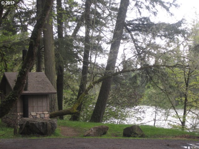 1655 LONE ROCK RD, Glide, OR 97443