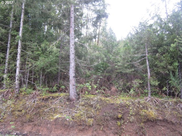 1655 LONE ROCK RD, Glide, OR 97443