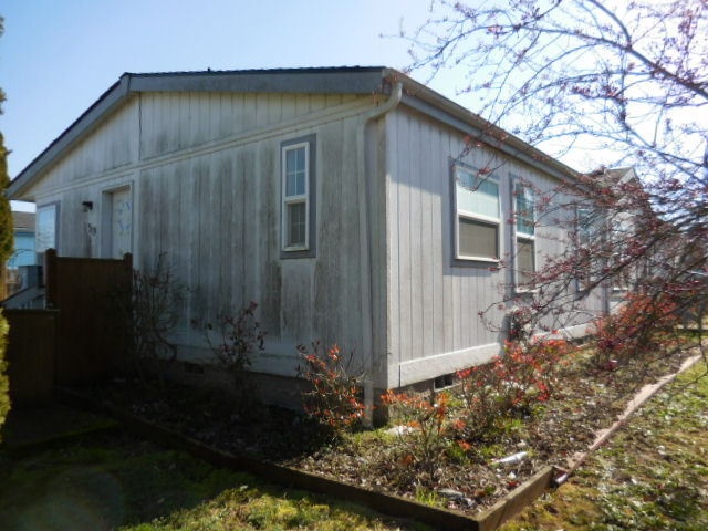 319 E 10th PlJunction City, OR, 97448Lane County