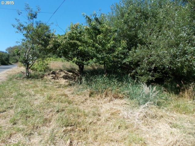 Old Broadbent RD, Myrtle Point, OR 97458